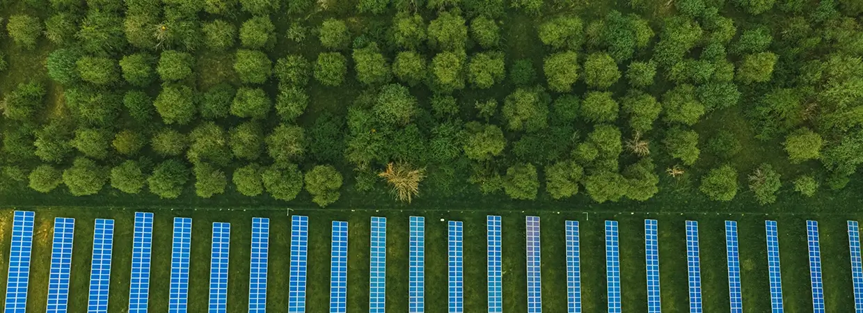 A large solar farm captured from above.